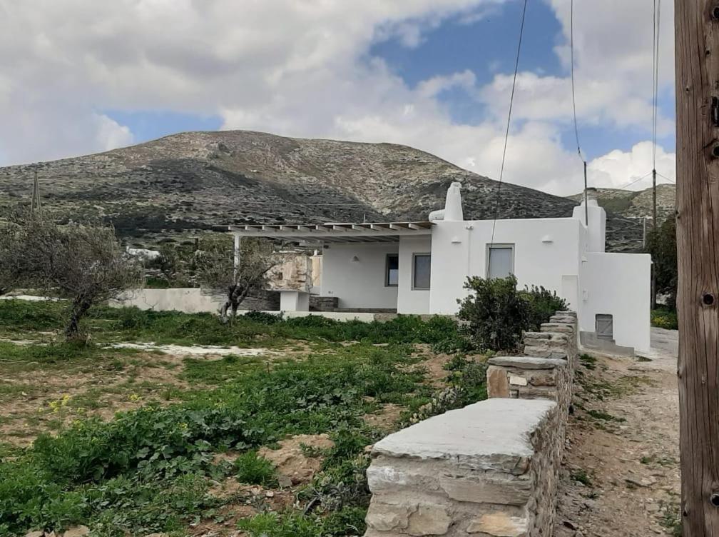 Κυκλαδίτικη Παραδοσιακή Κατοικία Chrisi Akti  Zewnętrze zdjęcie